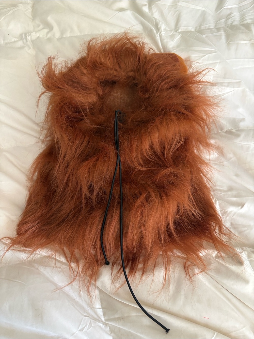 Lion dog costume